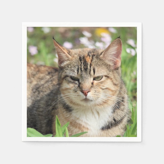 Servilleta De Papel Gato (Anverso)