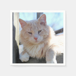 Servilleta De Papel Gato