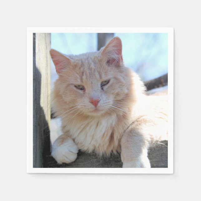 Servilleta De Papel Gato (Anverso)