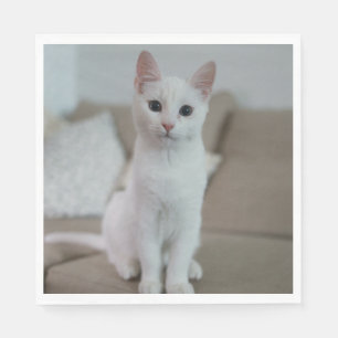 Servilleta De Papel Gato blanco Zazzle_Growshop.