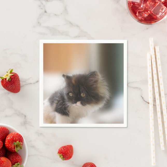 Servilleta De Papel Gato de corte (In situ)