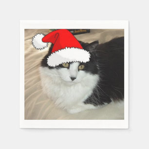 Servilleta De Papel Gato de pelo largo blanco y negro navidades
