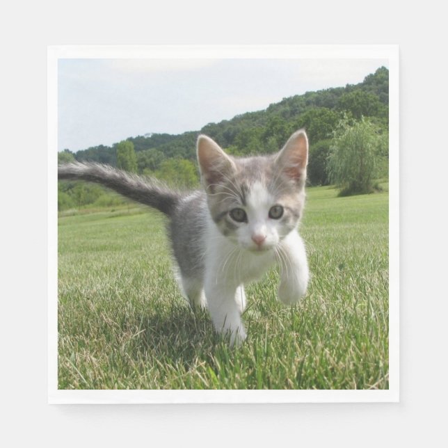Servilleta De Papel Gato dulce (Anverso)