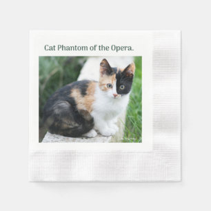 Servilleta De Papel Gato Fantasma de la Ópera
