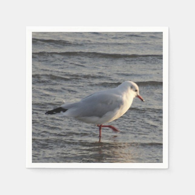 Servilleta De Papel Gaviota Adorable (Anverso)
