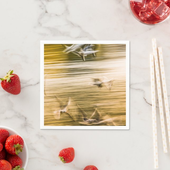 Servilleta De Papel Gaviotas voladoras - abstractas (In situ)