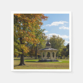 Servilleta De Papel Gazebo de otoño en Maple Park