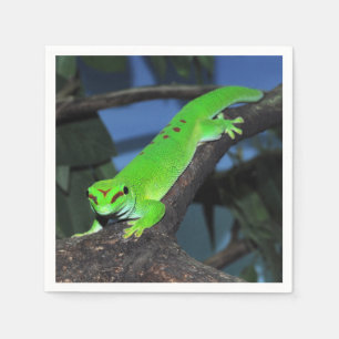 Servilleta De Papel Gecko de Madagascar