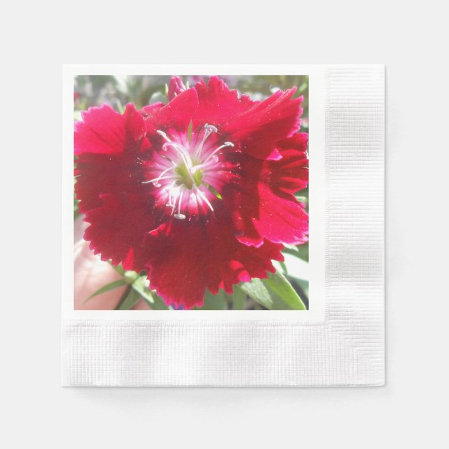 Servilleta De Papel Geertje (Anverso)