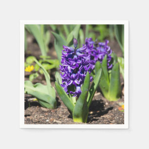 Servilleta De Papel Geocinth azul en primavera