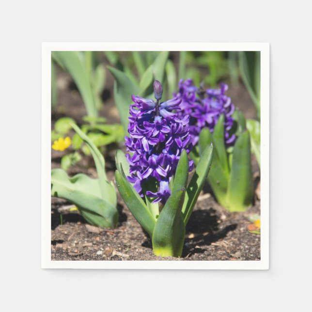 Servilleta De Papel Geocinth azul en primavera (Anverso)