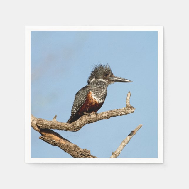 Servilleta De Papel Giant Kingfisher (Anverso)
