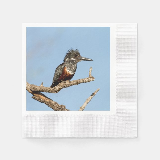 Servilleta De Papel Giant Kingfisher (Anverso)