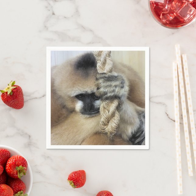 SERVILLETA DE PAPEL GIBBON (In situ)