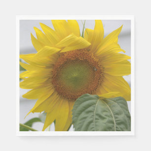 Servilleta De Papel Girasol dorado