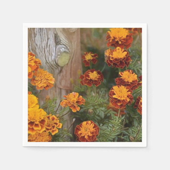 Servilleta De Papel Gloriosos Marigolds (Anverso)