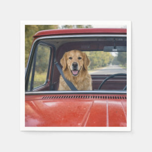 Servilleta De Papel Golden Retriever con cinturón de seguridad