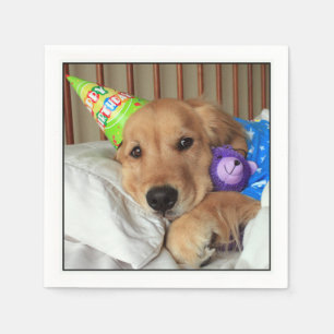 Servilleta De Papel Golden retriever soñoliento en cumpleaños de los