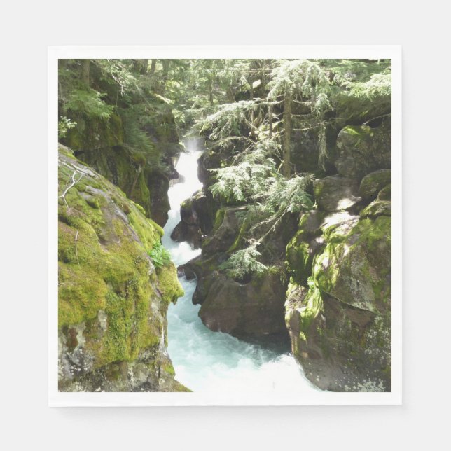 Servilleta De Papel Gorge II de Avalanche en el Parque Nacional Glacia (Anverso)