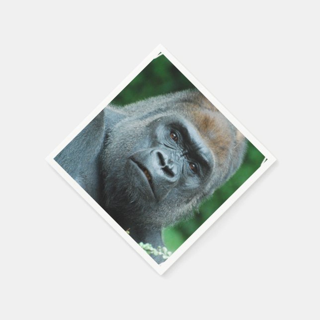 Servilleta De Papel Gorila perpleja (Borde)