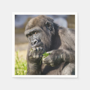 Servilleta De Papel Gorilla Youngster