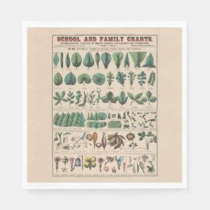 Servilleta De Papel Gráfico Antiguo de la Escuela Botánica Naturaleza