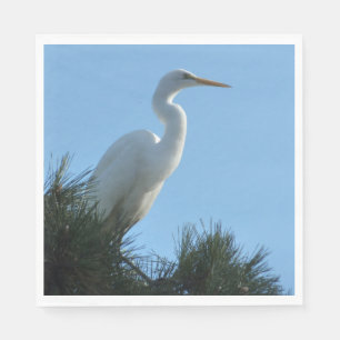 Servilleta De Papel Gran Egret en la soleada Florida
