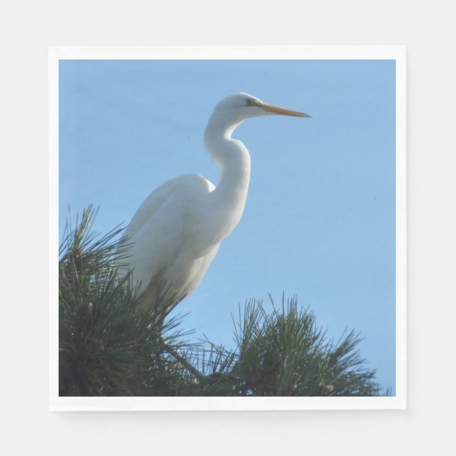 Servilleta De Papel Gran Garza en Florida Soleada (Anverso)