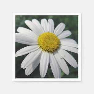 Servilleta De Papel Gran margarita blanca