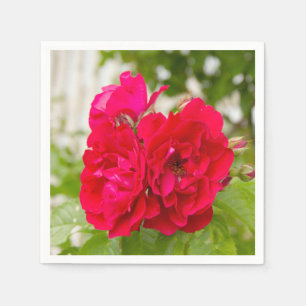 Servilleta De Papel Grandes rosas rojas en el jardín
