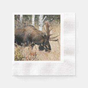 Servilleta De Papel Grazing Moose
