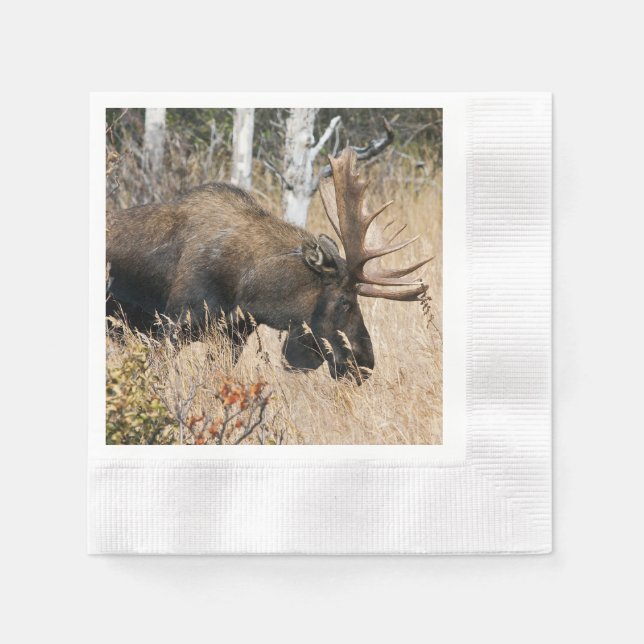 Servilleta De Papel Grazing Moose (Anverso)