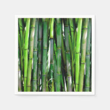 Green Bamboo Stalks Nature Photography