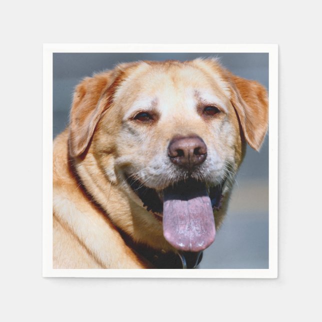 Servilleta De Papel Grin (Anverso)