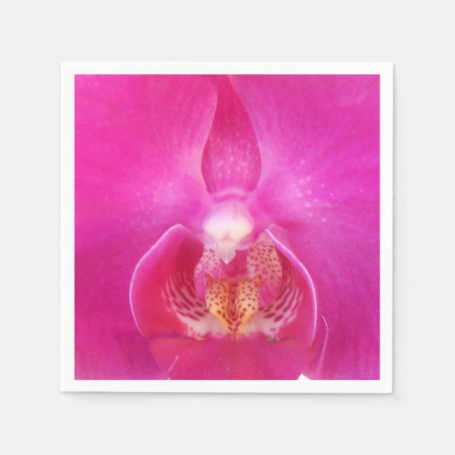 Servilleta De Papel Guda (Anverso)