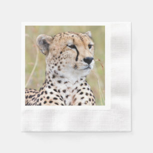 Servilleta De Papel Guepardo