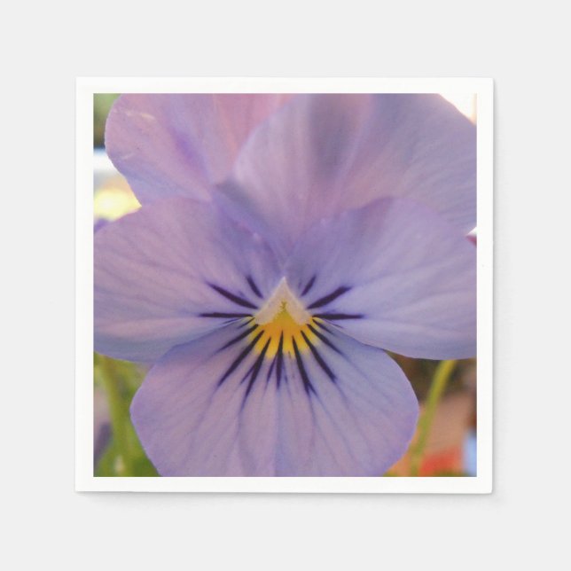 Servilleta De Papel Haetzlern (Anverso)