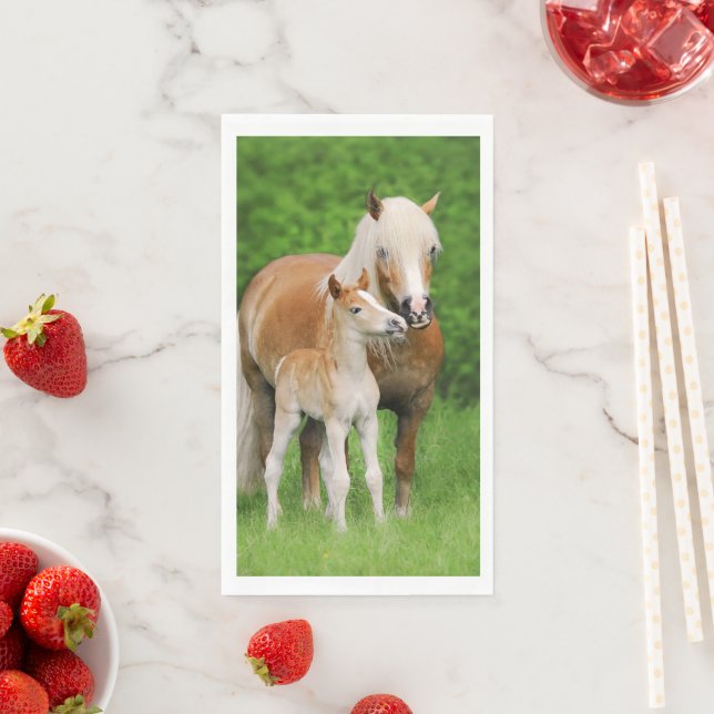 Servilleta De Papel Haflinger Horse Cute Baby Foal Kiss Mamá Pony Phot (In situ)