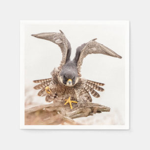 Servilleta De Papel Halcón de peregrino