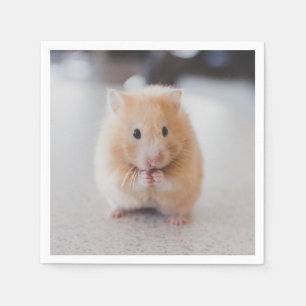 Servilleta De Papel Hámster lindo