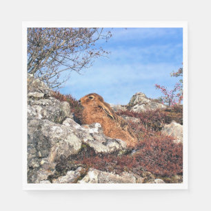 SERVILLETA DE PAPEL HARE