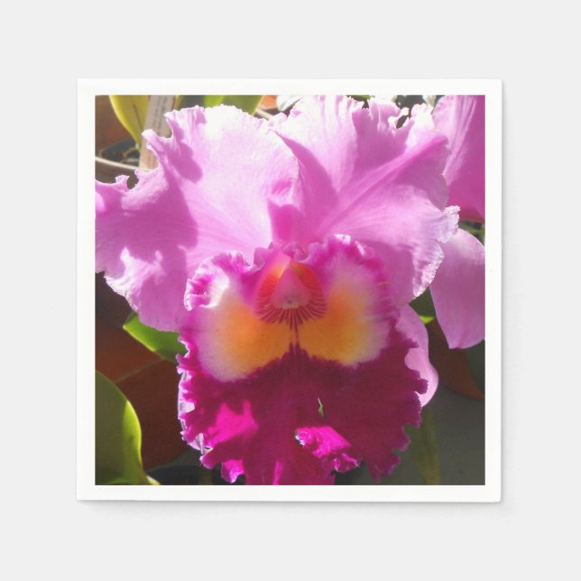 Servilleta De Papel Harlinde (Anverso)