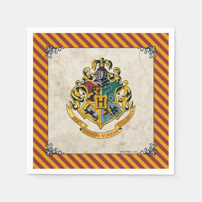Servilleta De Papel Harry Potter | Cumpleaños en Hogwarts (Anverso)