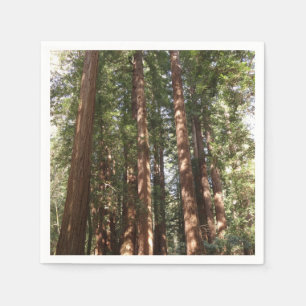 Servilleta De Papel Hasta Redwoods II en el Monumento Nacional Muir Wo