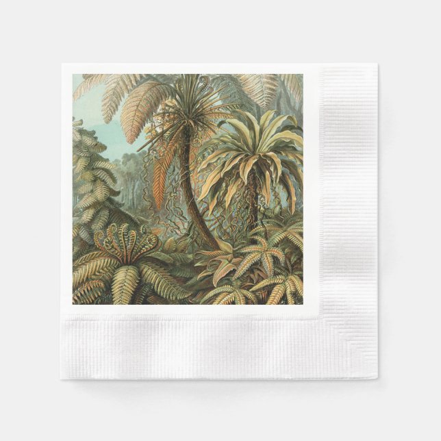 Servilleta De Papel Helechos Palma Árbol Antiguo Arte Botánico Helecho (Anverso)