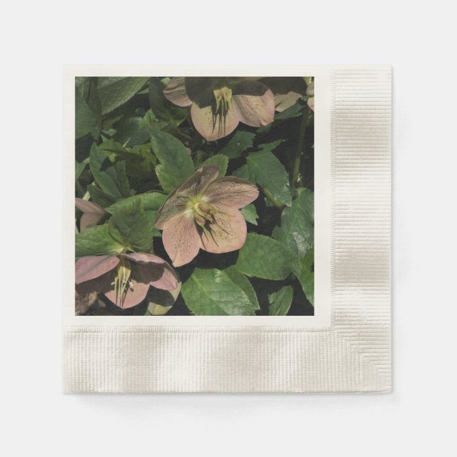 Servilleta De Papel Hellebore Rosa (Anverso)