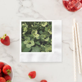 Servilleta De Papel Hellebore verde