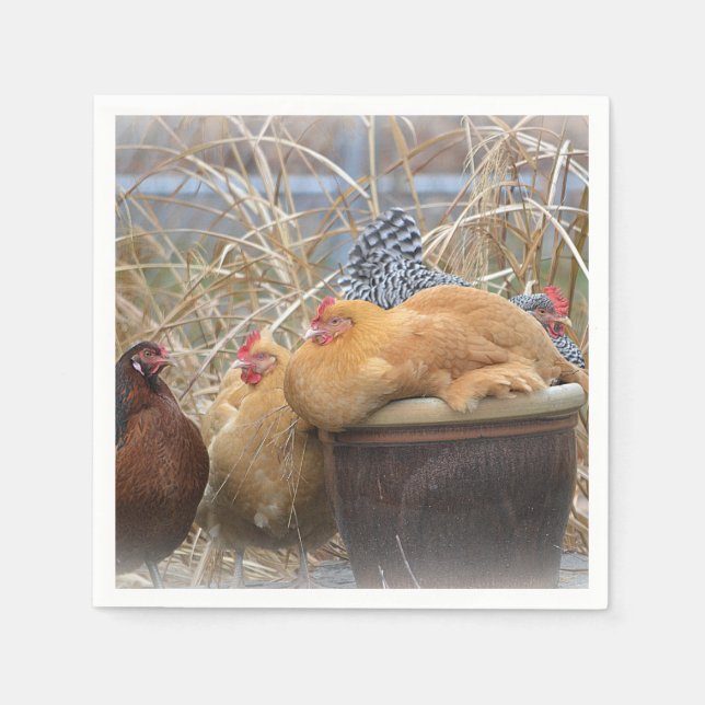 Servilleta De Papel Hen Fiesta Paper Napkin (Anverso)