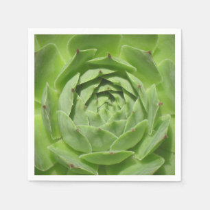 Servilleta De Papel Hens and Chicks Napkin
