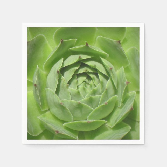 Servilleta De Papel Hens and Chicks Napkin (Anverso)